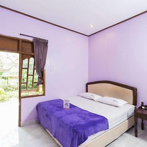 Chambre Lit Queen-Size